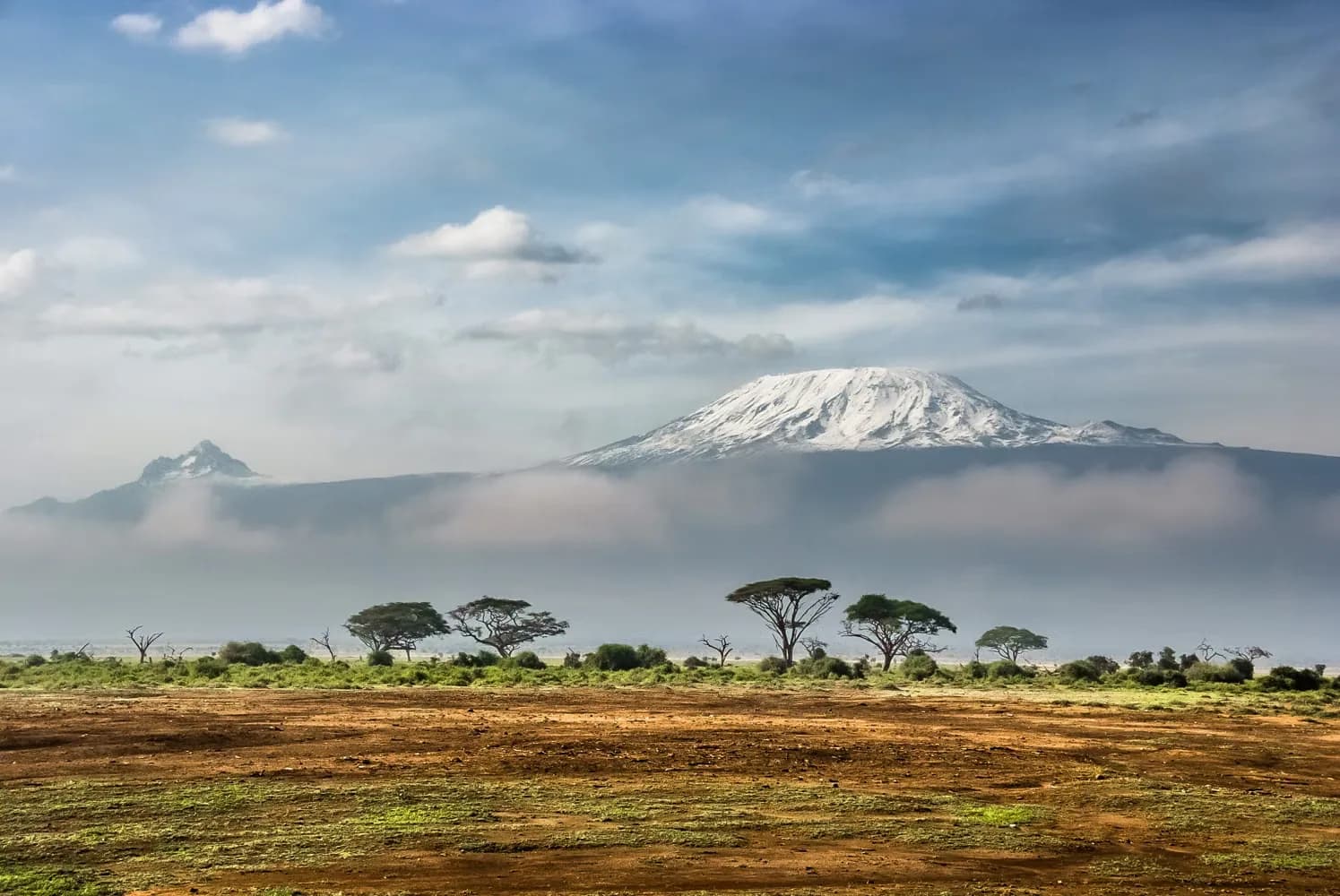 Snow-capped summit of Mount Kilimanjaro rising above the clouds